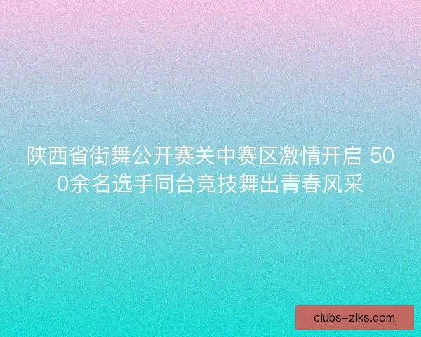 陕西省街舞公开赛关中赛区激情开启 500余名选手同台竞技舞出青春风采 陕西省街舞公开赛关中赛区激情开启 500余名选手同台竞技舞出青春风采
